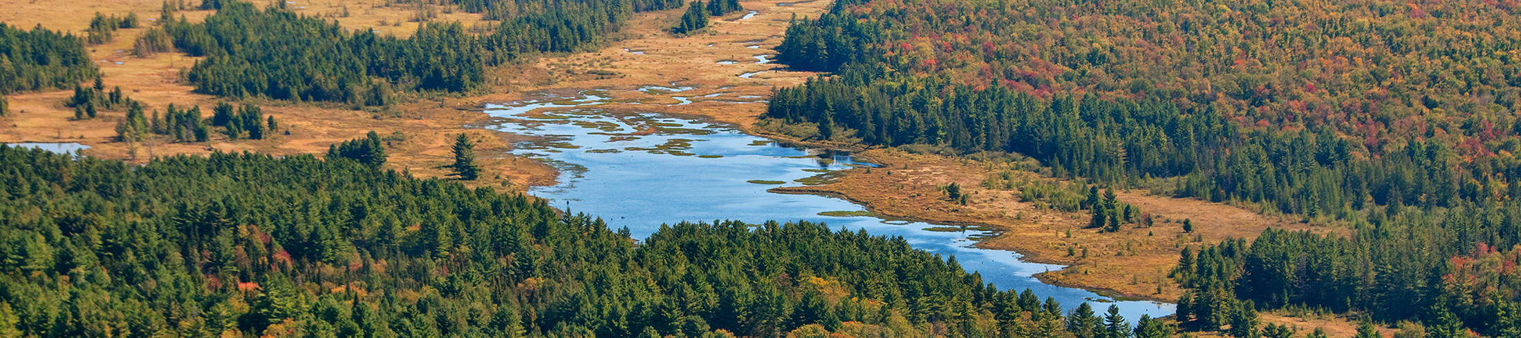 the-history-of-earth-day-adirondack-council